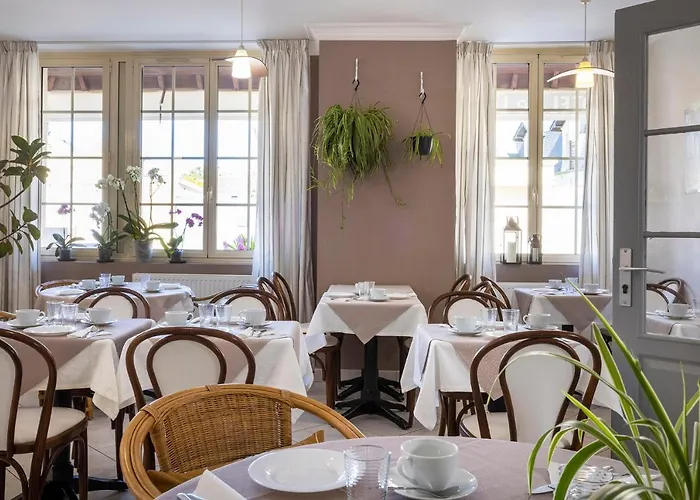 De Sur 2* 라이온쉬르메르