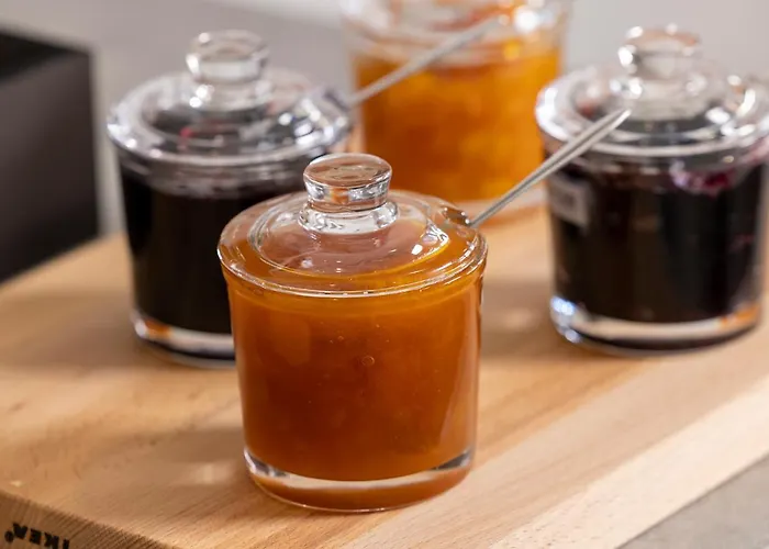 海狮酒店 2* 滨海利翁